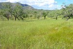 - Land - For Sale - 2