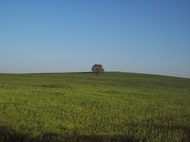 Lakeside Land - 2