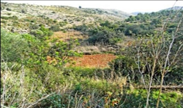 Plot For Sale Denia - Ref: 1441 - 2