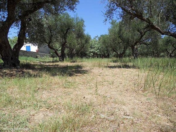 Land - Zakynthos - For Sale - 2