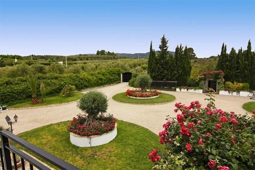 Finca for sale in Alcocer de Planes - 2