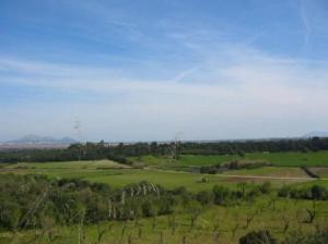 Finca plot near Muro
