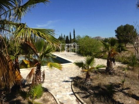 Country Finca Aspe - 2