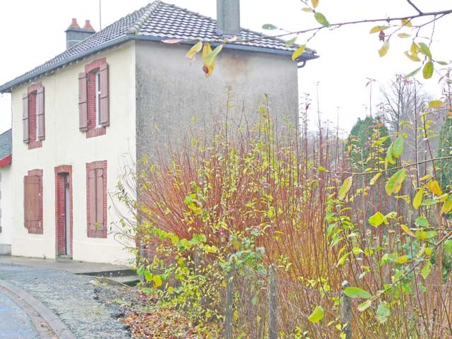 Village House To Renovate With 2.. - 2