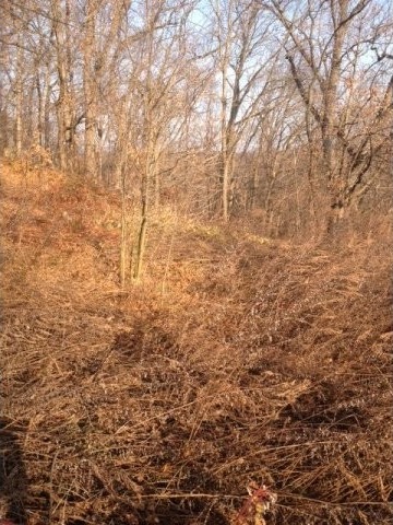 Land For Sale: West Harrison, New York - 2