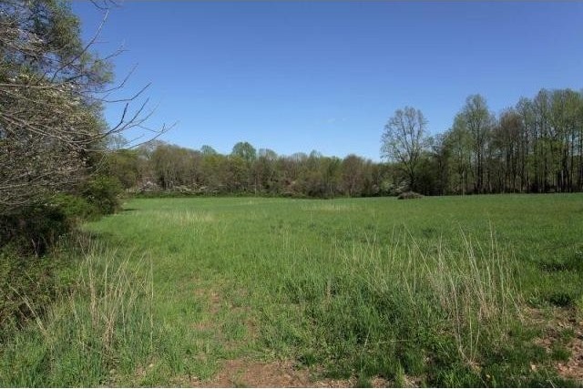 Land For Sale: 21 Pinefield Lane - 2