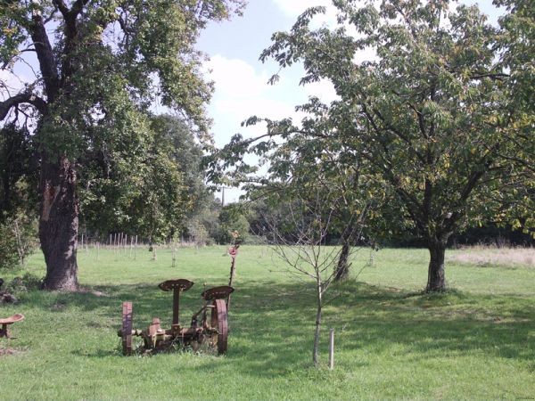 Delightful Rural Guest Gite Complex - 2