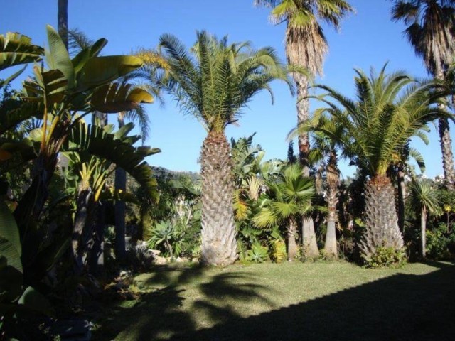 VILLA FOR SALE IN ELVIRIA - 2