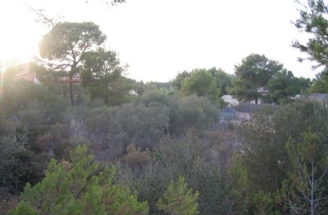 Large And Flat Plot With Some Sea.. - 2