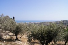 Land Property For Sale In Crete