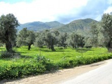 South-Crete Building Land For Sale