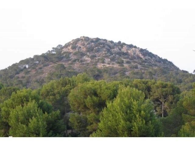 Large And Flat Plot With Some Sea..