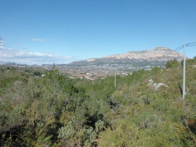 Plot in Javea