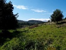 Mountain View Property - 2