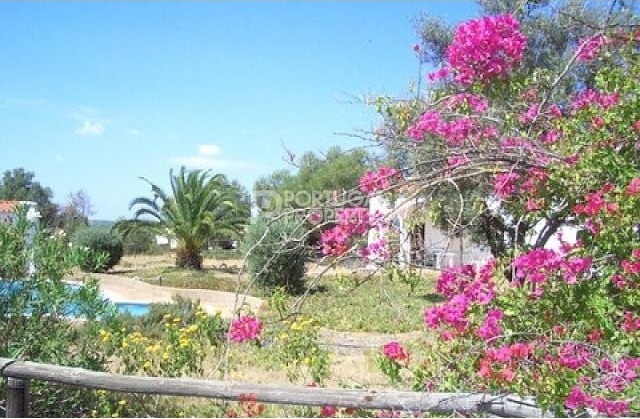 Private plot of land for development - 2