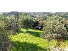 Land Property Crete - 2
