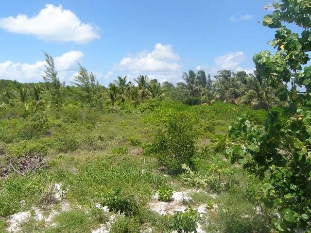Singlefamilyvacant - Very private.. - 2