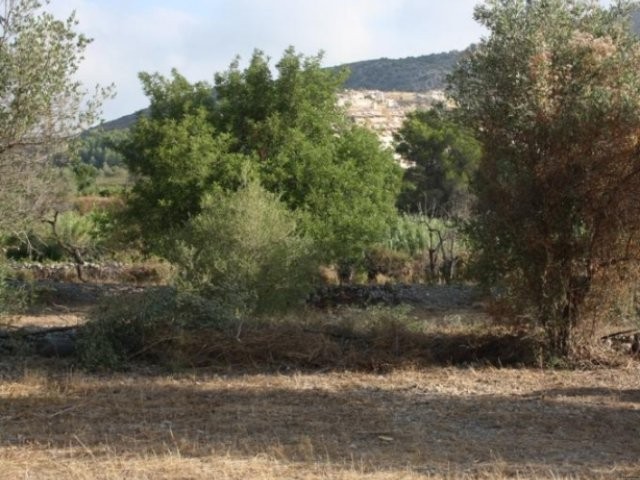 - Property - Alicante - For Sale - 2