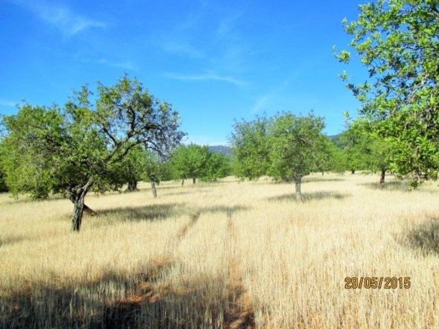 Amazing plot in prime location in Alaro - 2