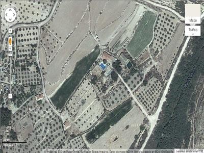 7 Bedrooms - Finca - Alicante - For Sale