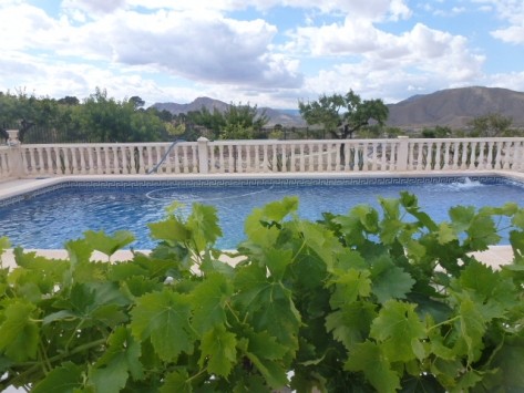 Villa in Hondon de los Frailes, Alicante - 2
