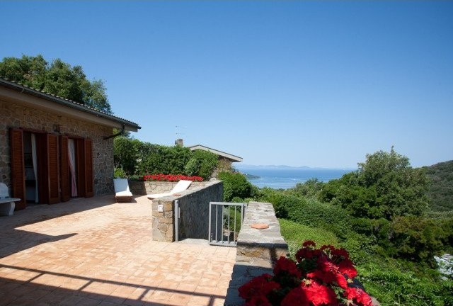 PUNTA ALA-POGGIO HERDS