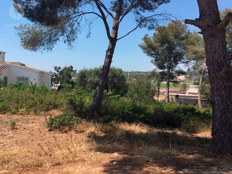 - Land - Alicante - For Sale
