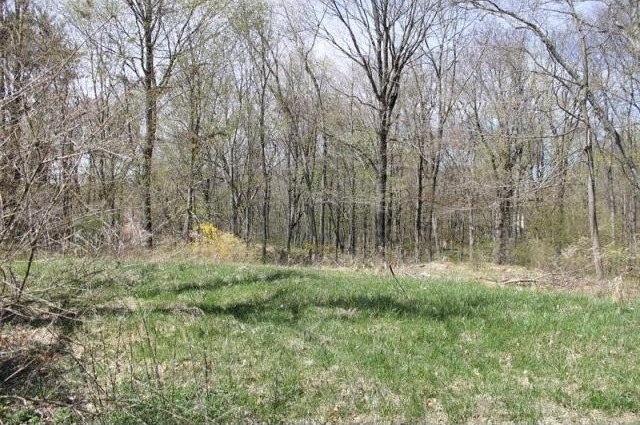 Land For Sale: Greenwich, Connecticut - 2