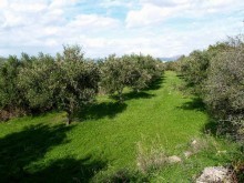 Land Property Crete