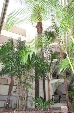 SUPERB 3 BEDROOM APARTMENT IN THE CITY.. - 2