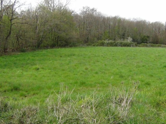 Large Building Plot