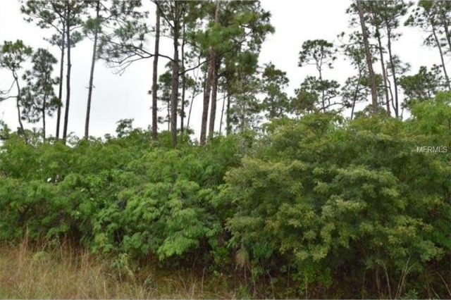 Land For Sale: Curtis Rd, Freeport, OC.. - 2
