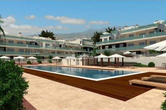 Apartment in Medano, El - 2