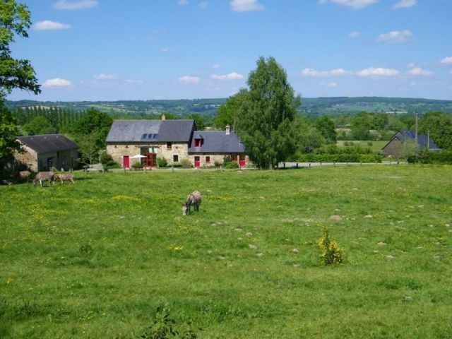 Very Attractive Rural Property - 2