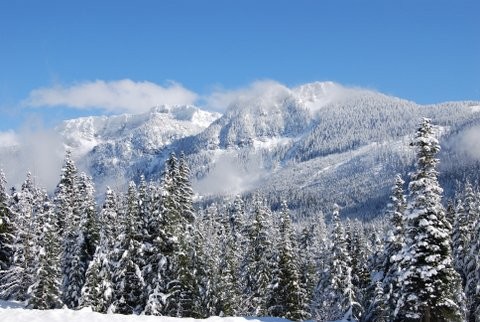 Land - For details contact Linda.. - 2