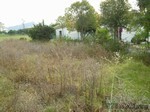 - Property - Malaga - For Sale - 2