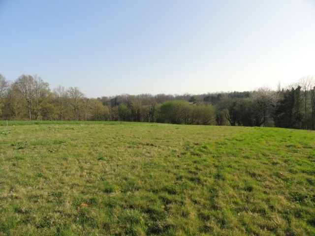 25146 - Vente - Terrain - Vergt