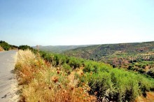 Cheap Land For Sale In Crete