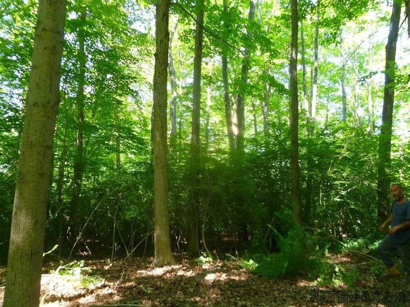 Land For Sale: Hoyt Street South Salem.. - 2