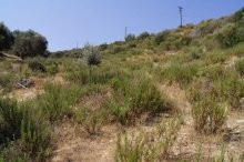 Land Property For Sale In Crete - 2