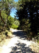 Crete Land For Sale
