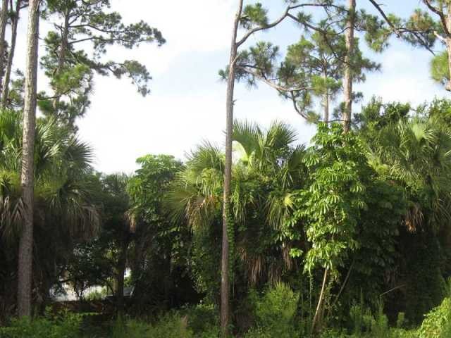 Land For Sale: LANDING ROAD