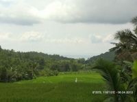 Land For Sale Lombok Nusa Tenggara.. - 2