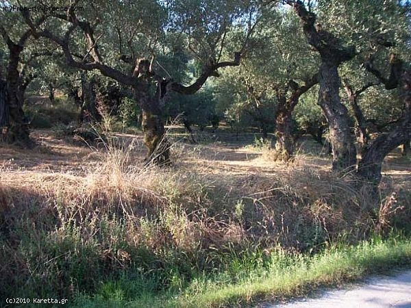 Land - Zakynthos - For Sale - 2