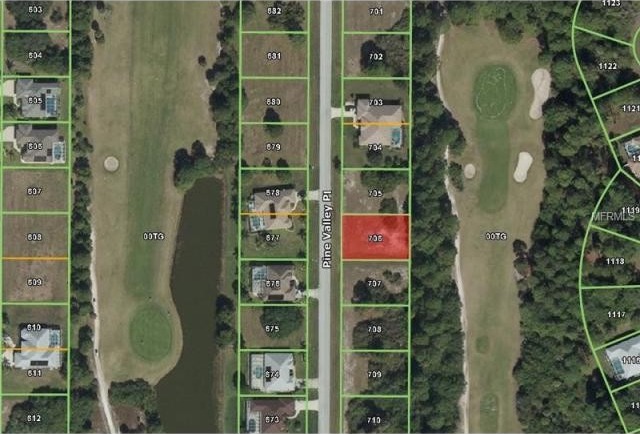 Land For Sale: 63 Pine Valley Pl.. - 2
