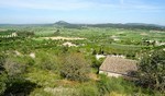 - Finca - For Sale - 2