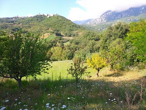 Large detached property with 1 hectare.. - 2