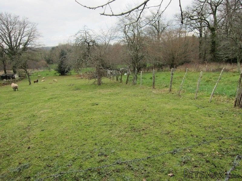 Villefavard - 2