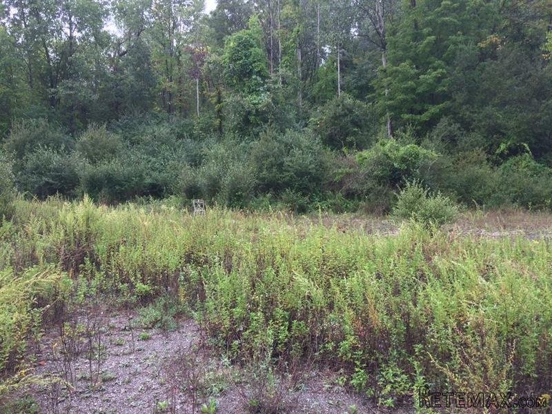 Land For Sale: Route 301 Carmel NY 10579 - 2