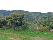 Crete Bargain Property